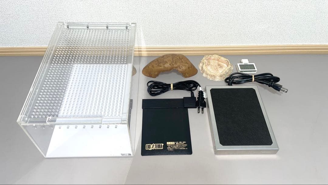 レオパ飼育セット/終生飼育可能