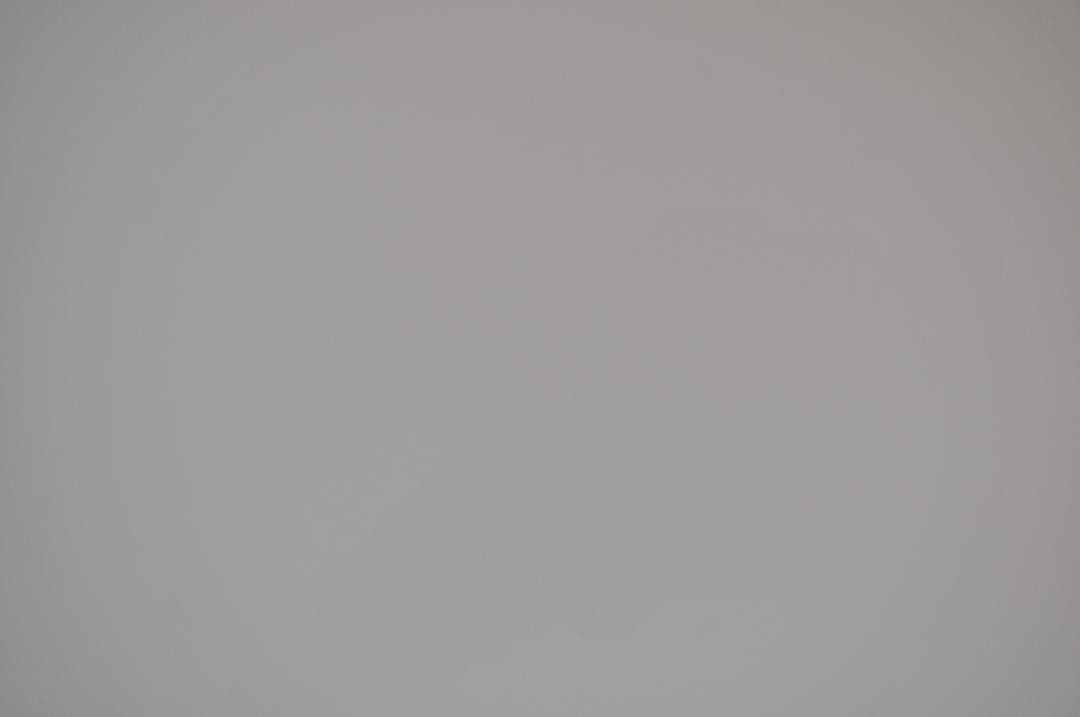 Nikon D300S デジタル一眼レフカメラセット※再掲