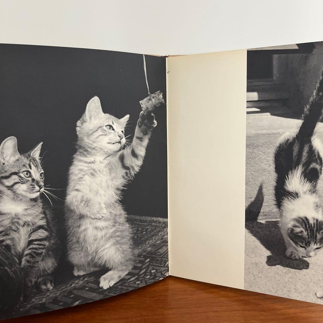 猫 写真集 CHATS HENRI SAAS フランスヴィンテージ