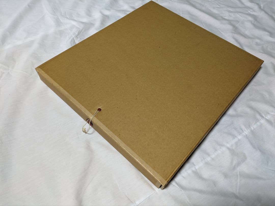 ダンスインザダーク　武豊　菊花賞　競走馬　写真パネル　額縁入り　スポーツ新聞付き