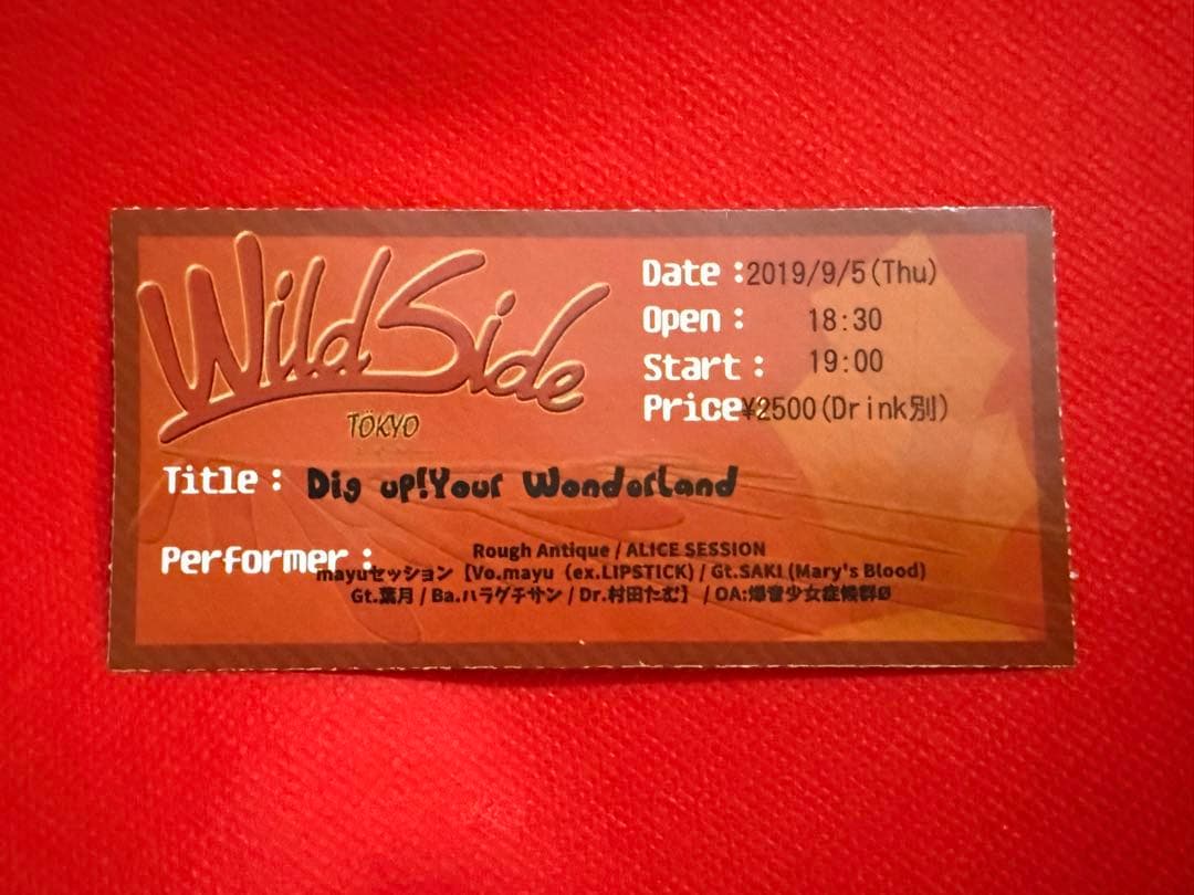 SUMMER GAME チケット 2019年8月22日 半券　NEMOPHILA