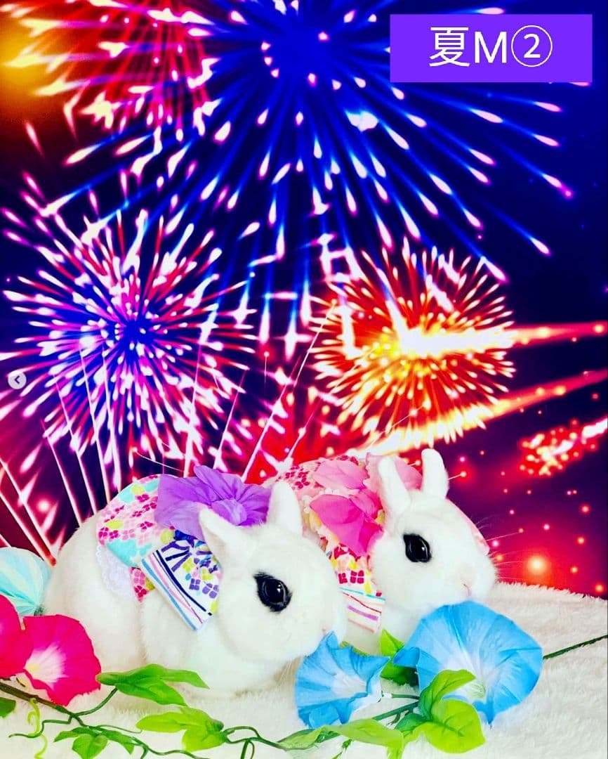 背景布夏BA④　ペット撮影用フォトブース　向日葵　ヒマワリ　トリミングチョーカー