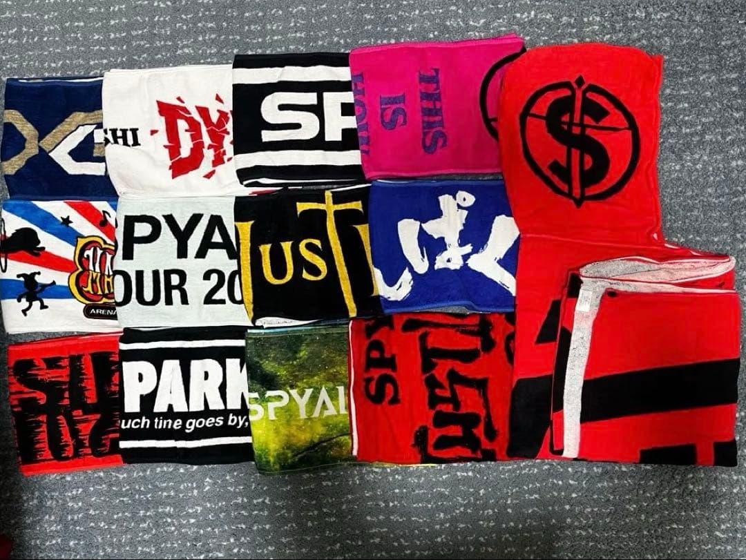 SPYAIR タオル13枚セット❗️フードタオルあり