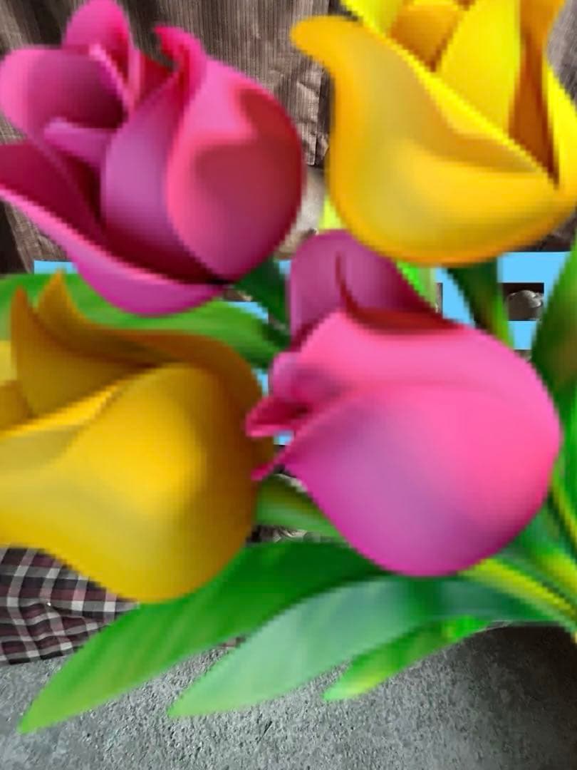 絡み獅子　から獅子　備前焼　信楽焼　店じまいSALE中