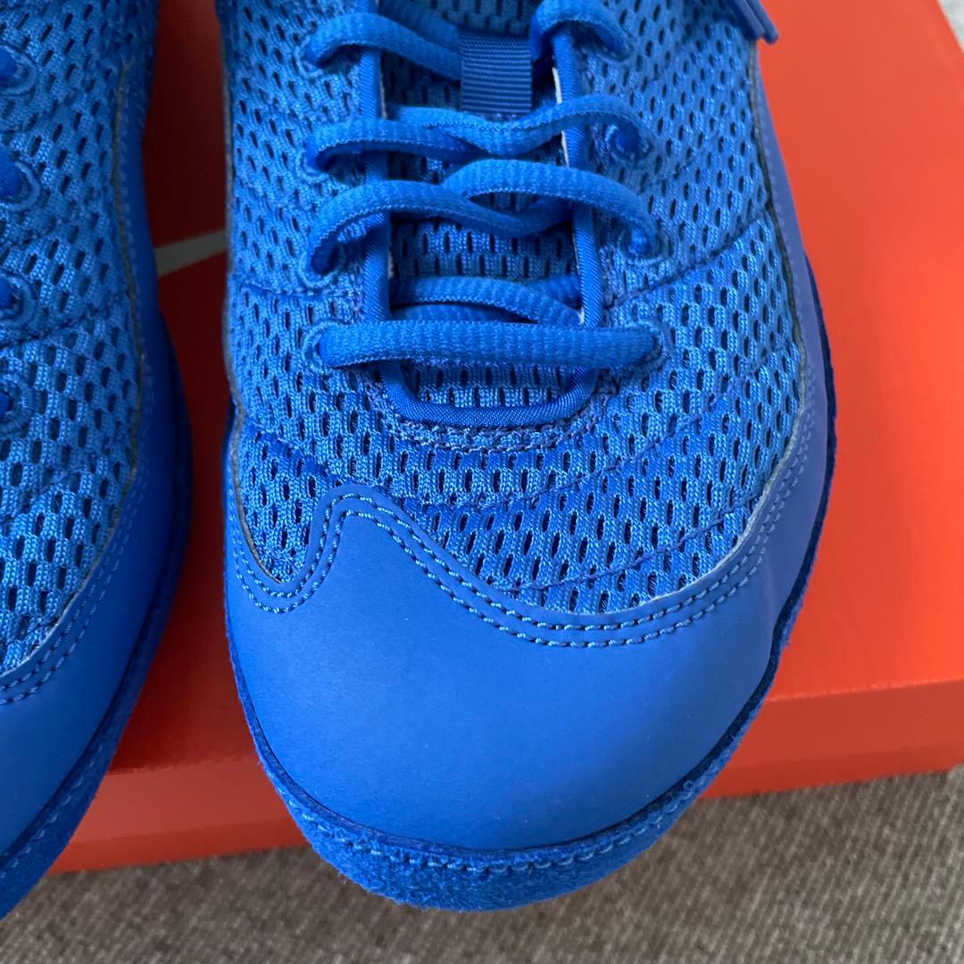 ナイキ・インフリクト [ブルー/シルバー］ 青 ハイカット28.0cm