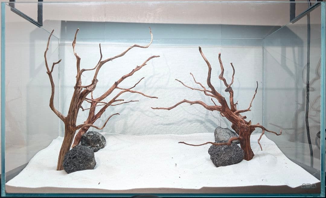 レイアウトセット【LSB016】 スマトラブランチウッド 水槽 まとめ買い対応