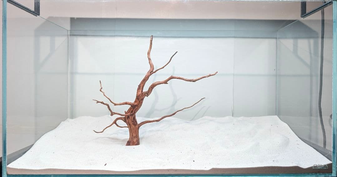 レイアウトセット【LSB016】 スマトラブランチウッド 水槽 まとめ買い対応