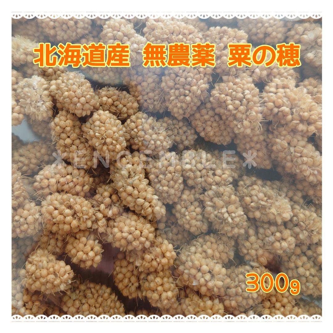 オーダー専用 農家さん直入【北海道産】粟の穂 300g 無農薬