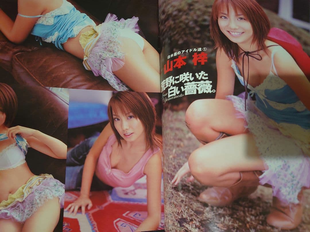 【大量】グラビアアイドル・山本梓さん 雑誌切り抜き