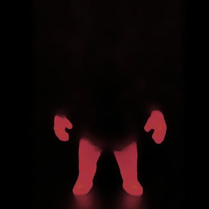 メフィラス星人　蓄光色　MAX TOY　マックストイ　アークティーズ限定　円谷