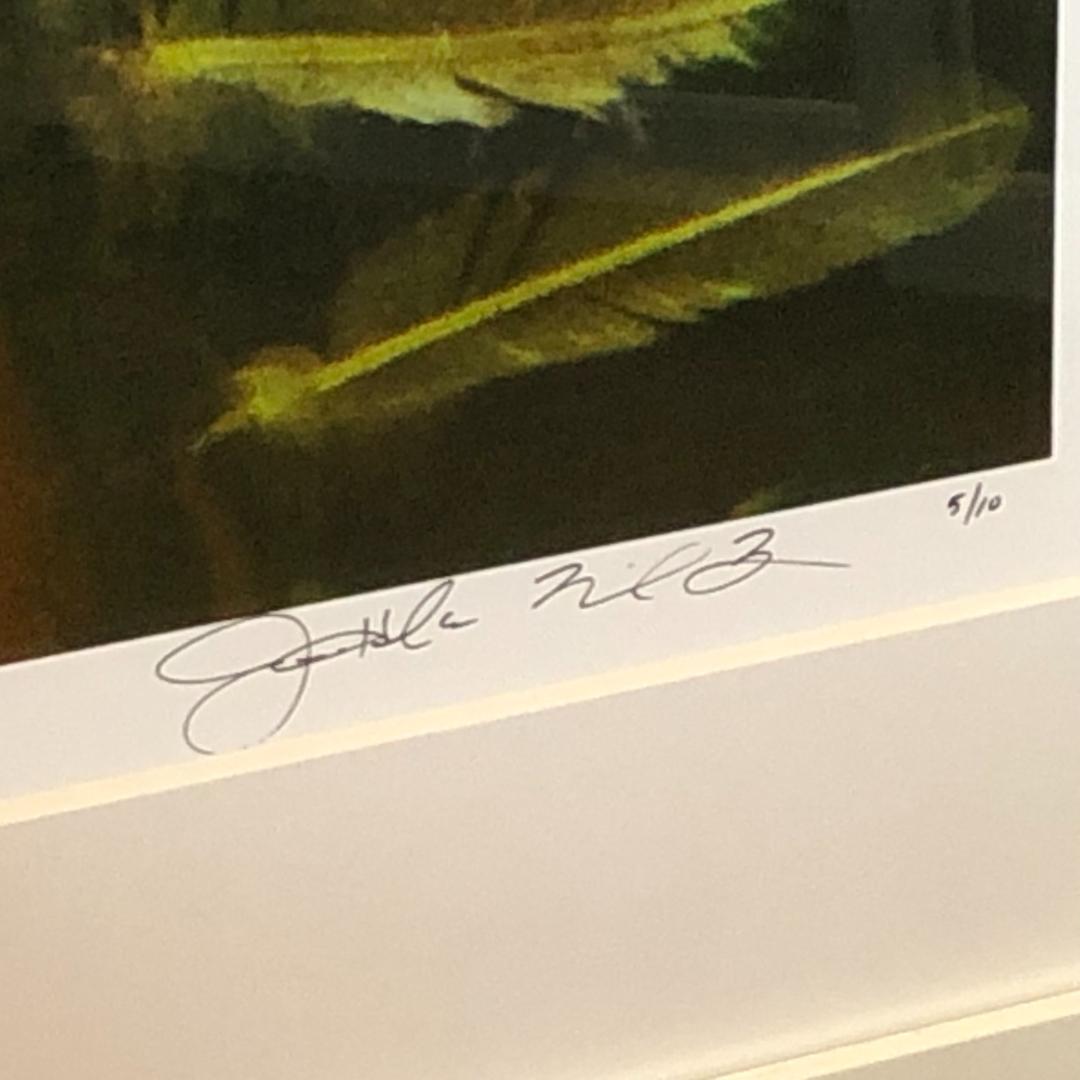 Harbeck & Krug 写真作品 限定10部 サイン入り