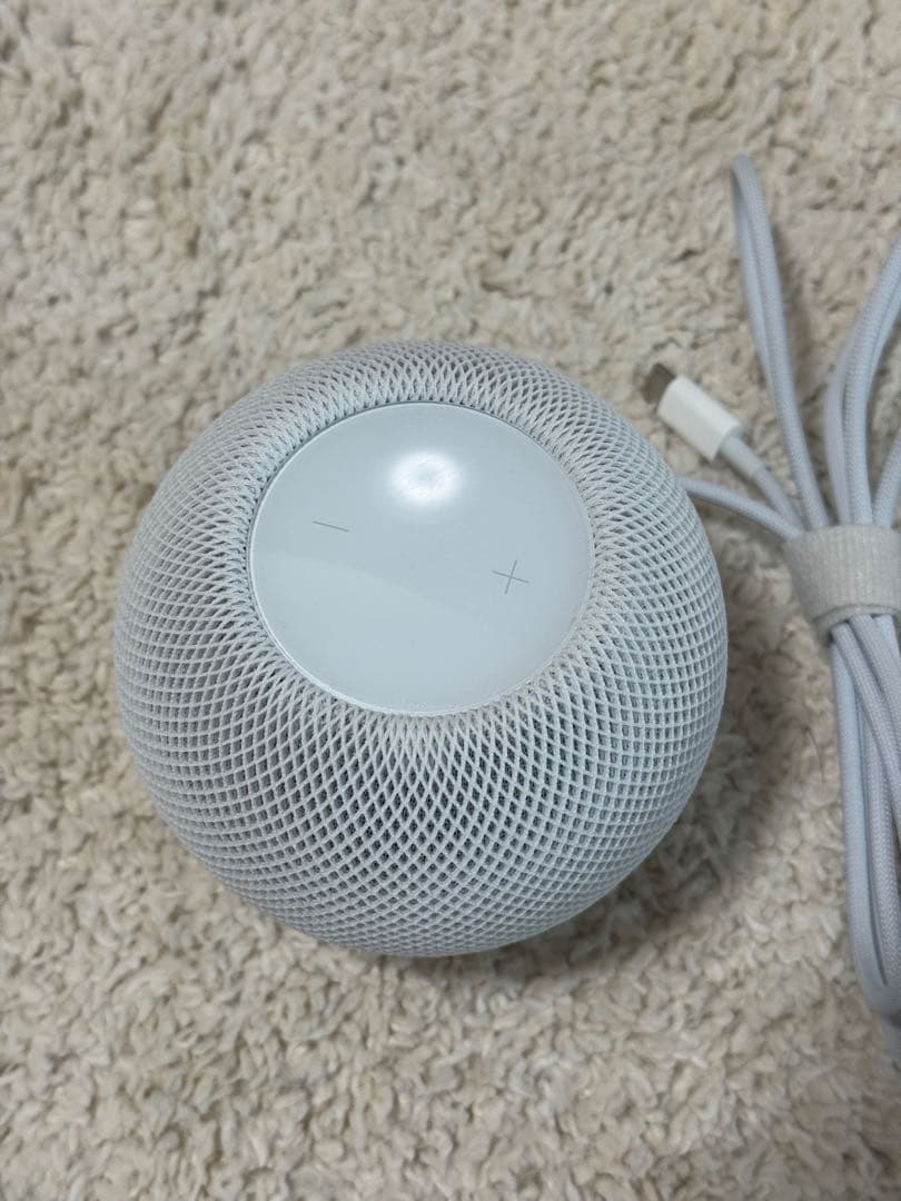 Apple pod mini アダプター付き