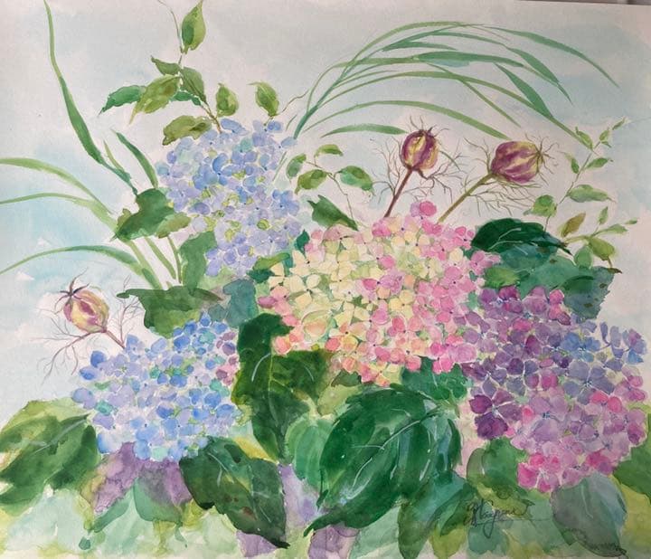 水彩画　紫陽花とニゲラの実