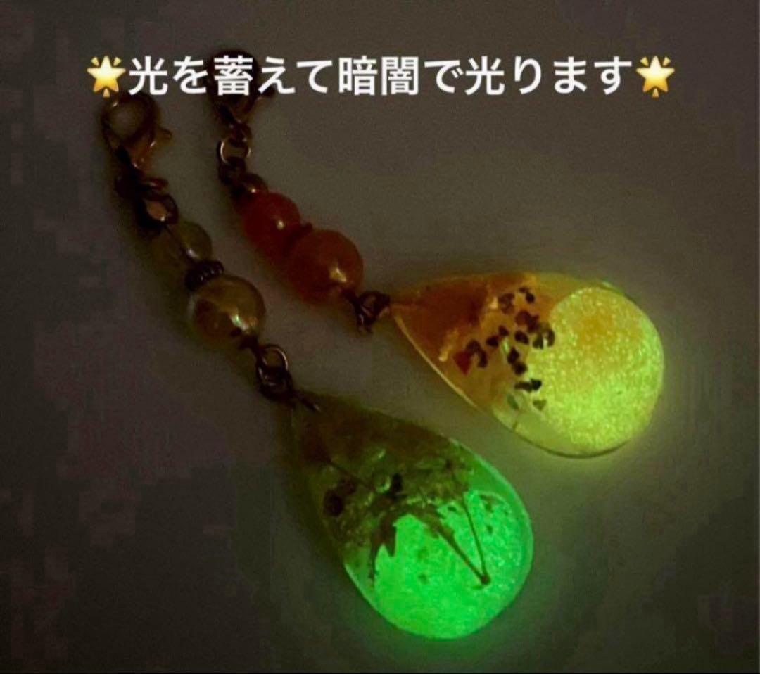 ❤️竜そばです❤️ 暗闇で光る　レジン　チャーム　21点　プレゼント付