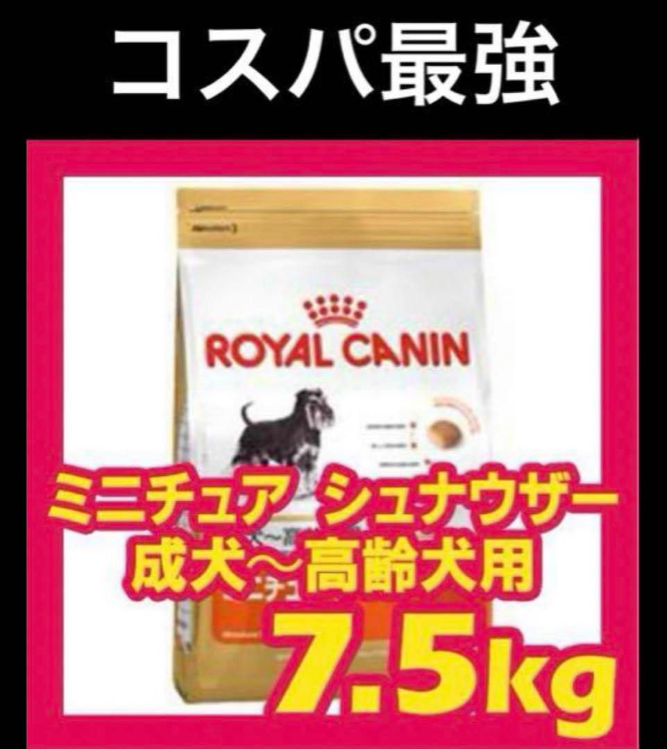  CANIN ミニチュアシュナウザー 7.5kg