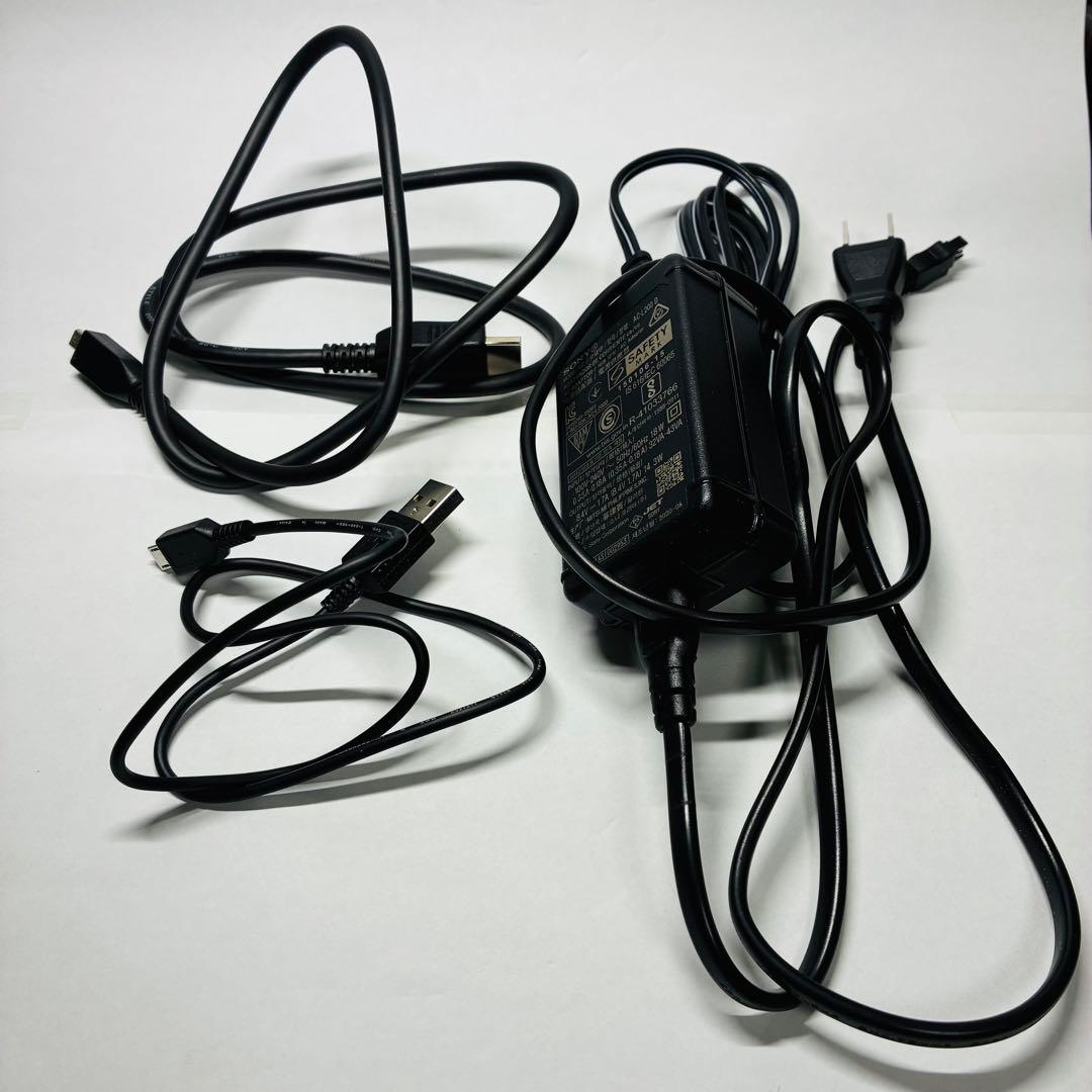 SONY ソニー HANDYCAM FDR-AX45　　バッテリー2個付き