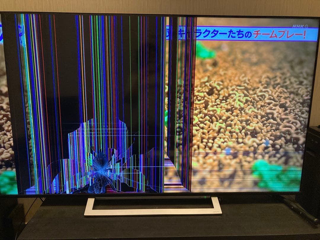 TOSHIBA REGZA 65インチ ジャンク品