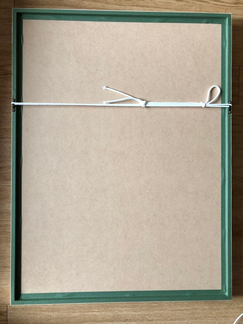 激レアゾロ目【値下げ可】江口寿史代表作ジークレーED300