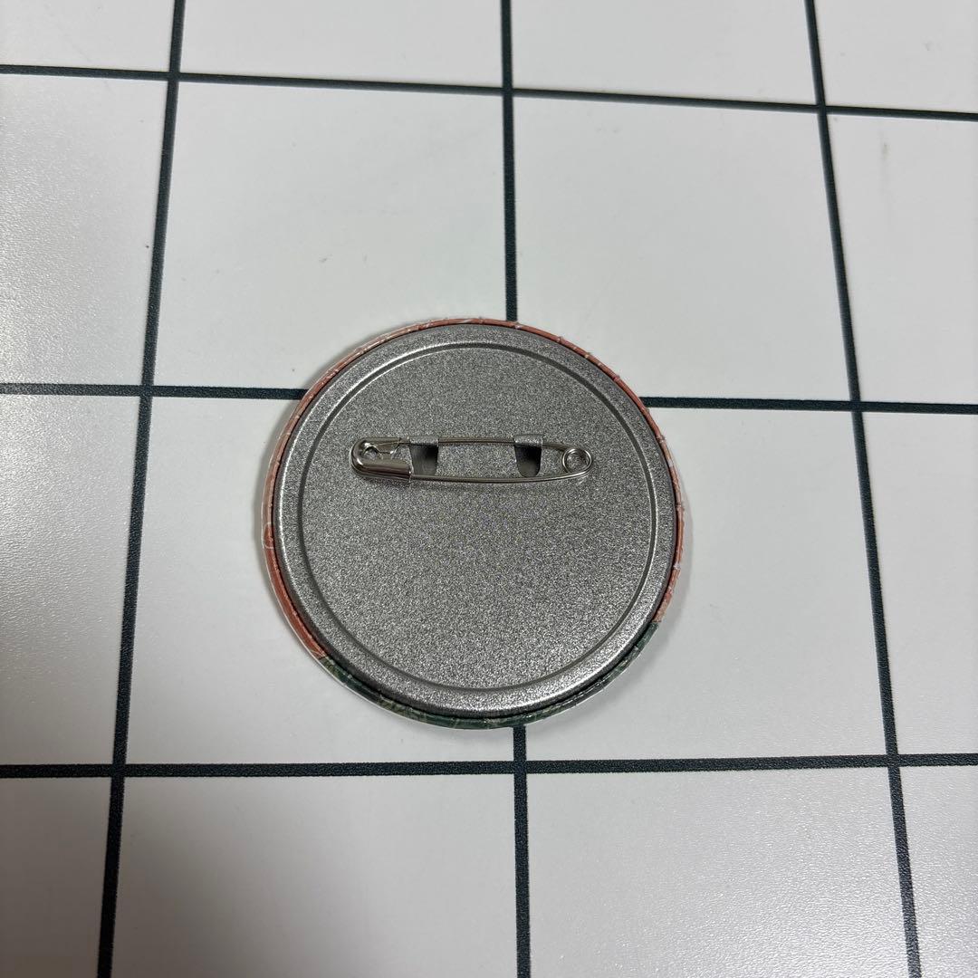 WIND BREAKER ウィンドブレーカー蘇枋隼飛 缶バッジ ウィンブレ30