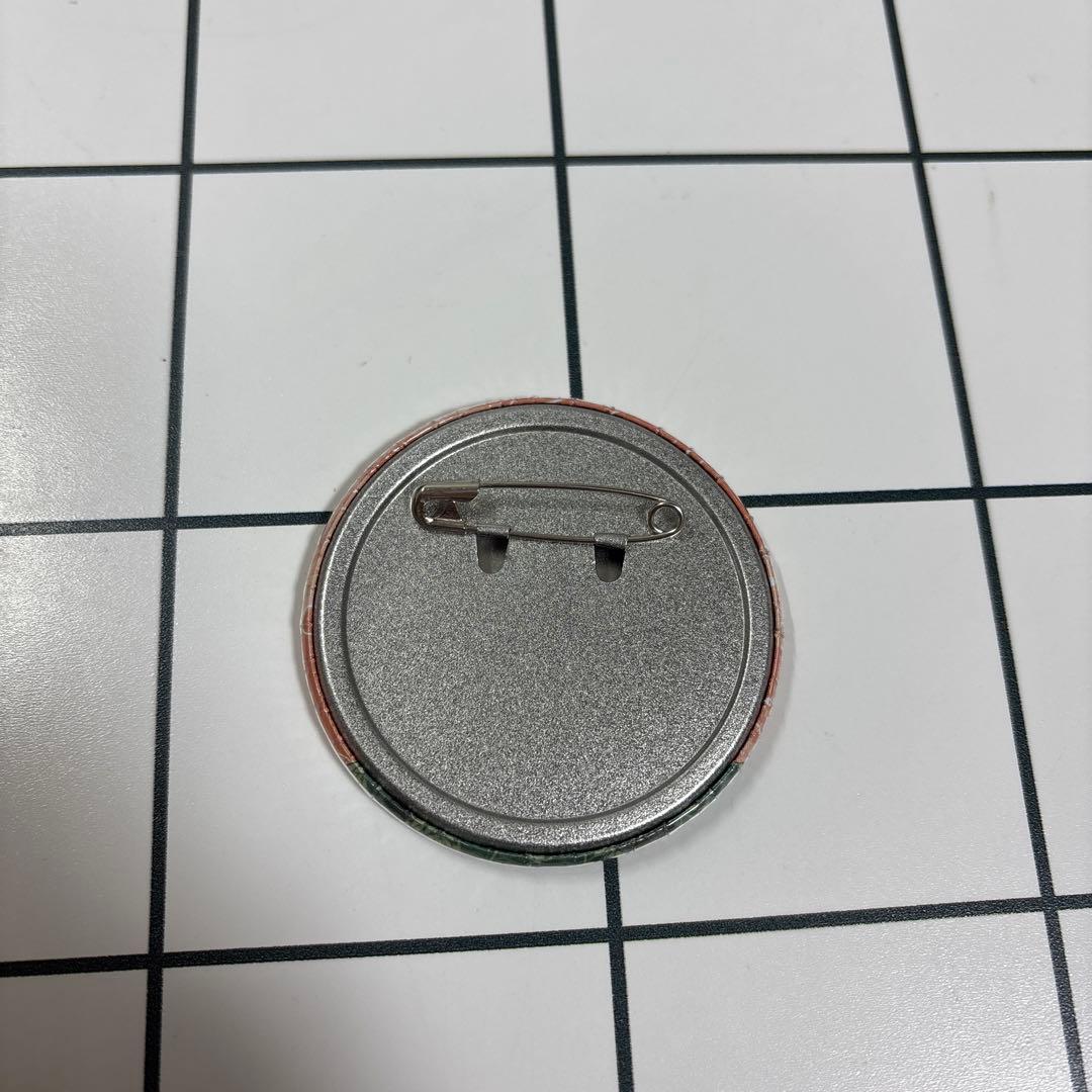 WIND BREAKER ウィンドブレーカー蘇枋隼飛 缶バッジ ウィンブレ30