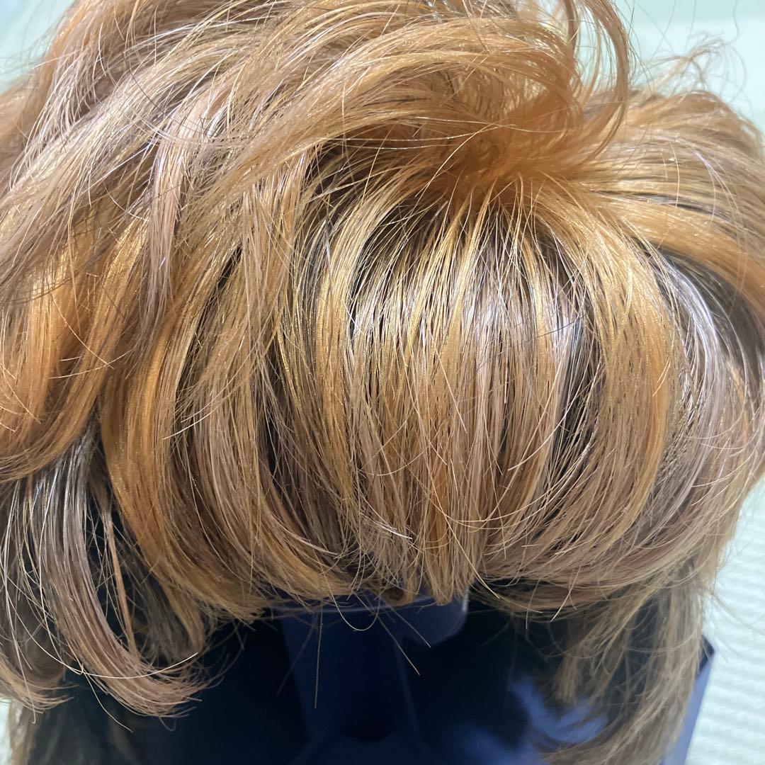 VALAN ヴァラン 人毛 ウィッグ ブラウン系 クリップ付き 中古