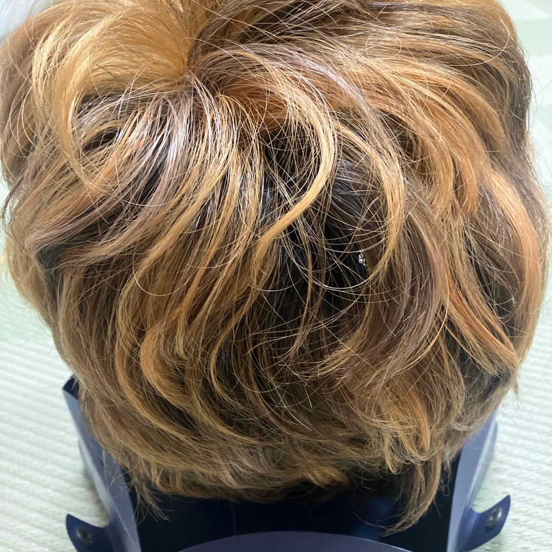 VALAN ヴァラン 人毛 ウィッグ ブラウン系 クリップ付き 中古