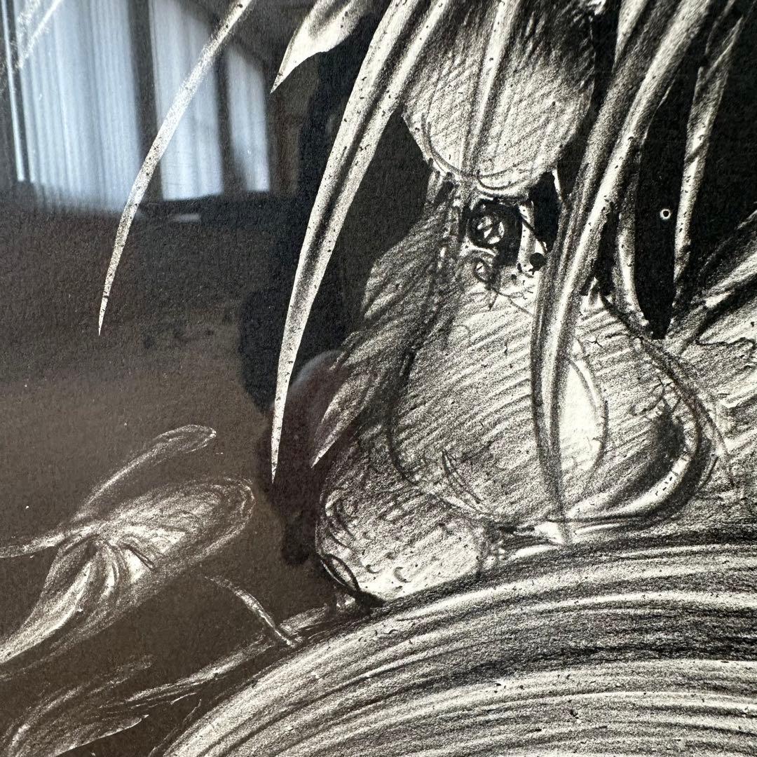 2190様感謝‼️幻想の絵師‼️天野喜孝「月夜」鉛筆直筆署名リトグラフ➕特大パンフ