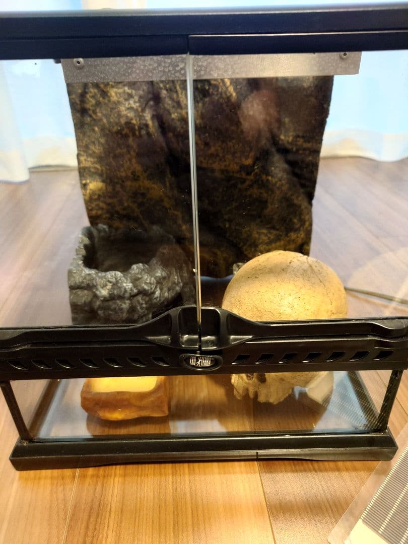 るなちゃんまん様用　グラステラリウム3030 爬虫類飼育セット　レオパ