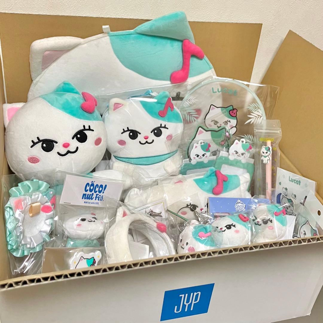 【全商品定価】NIZOO Lucat （ルキャ）マユカ 23点セット