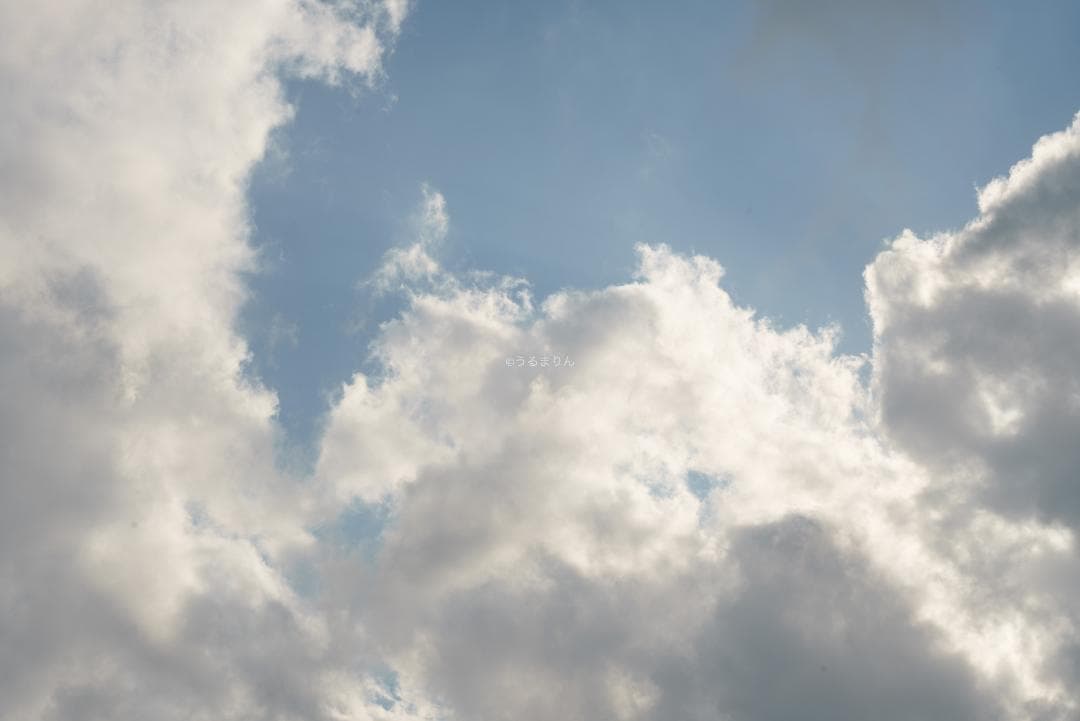 yu様　黄変なし光学美品！PENTAX Super-Takumar 55mm