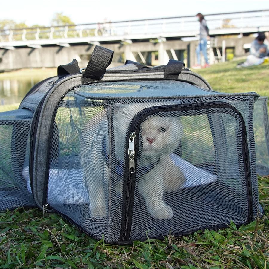 訳あり ペティーク ハッピーキャンパー ペットキャリー キャリーバッグ 犬 猫