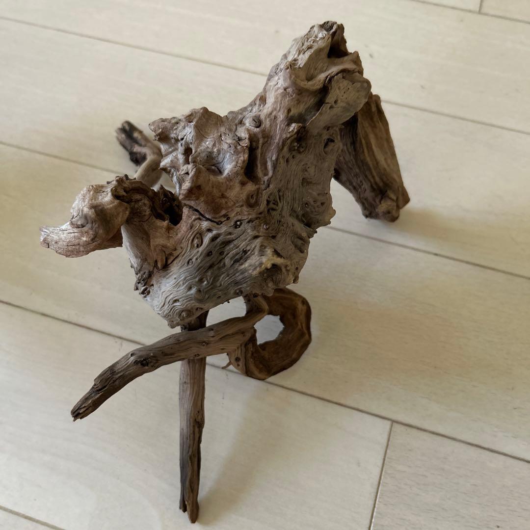 爬虫類飼育ケージ　ガラス製の飼育ケージ、メッシュ蓋付き　流木のおまけ付き❗️