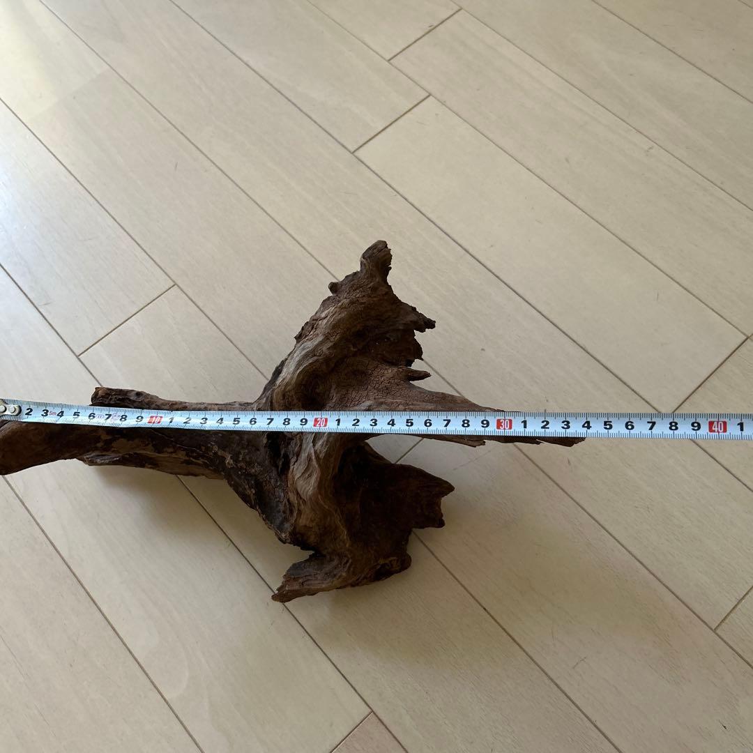 爬虫類飼育ケージ　ガラス製の飼育ケージ、メッシュ蓋付き　流木のおまけ付き❗️