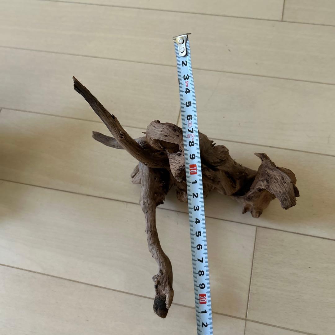 爬虫類飼育ケージ　ガラス製の飼育ケージ、メッシュ蓋付き　流木のおまけ付き❗️