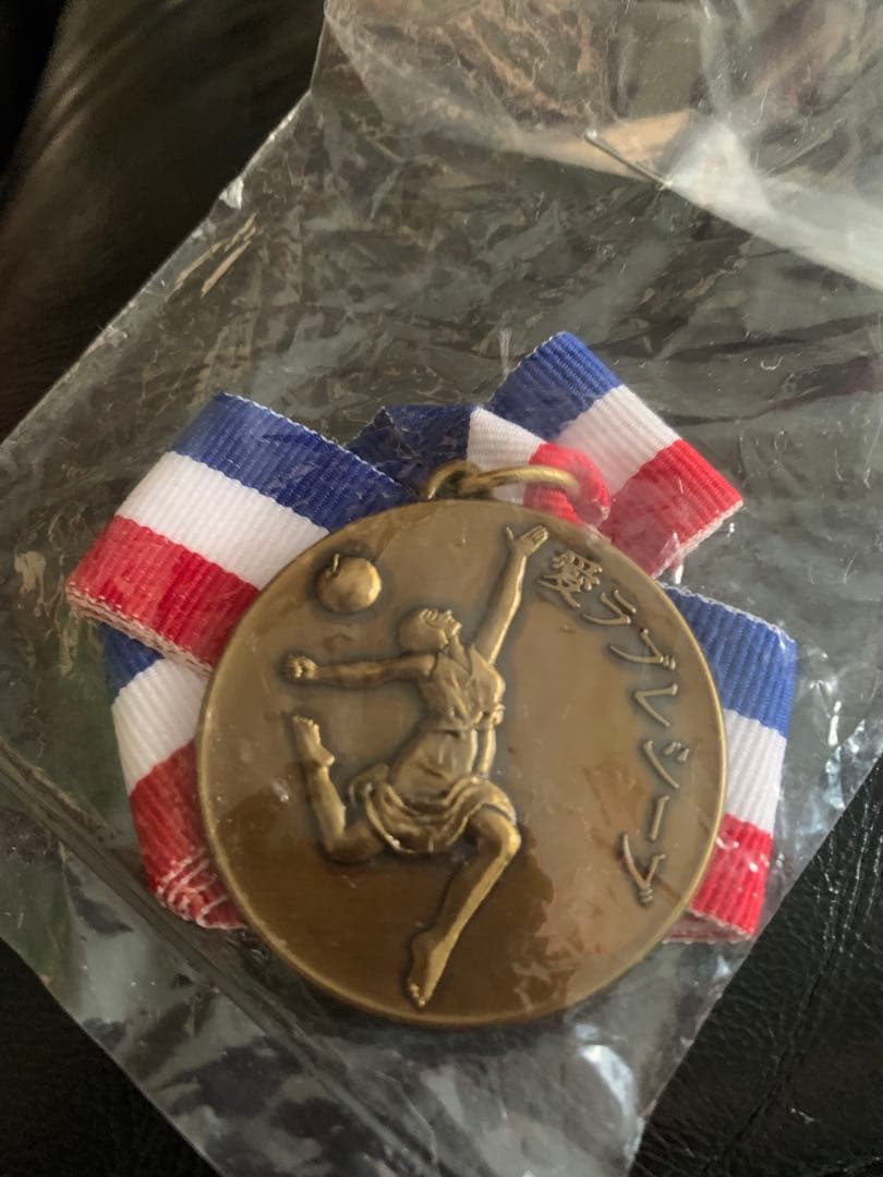 【未開封・未使用】椎名林檎 更新の殿堂10年 更新特典