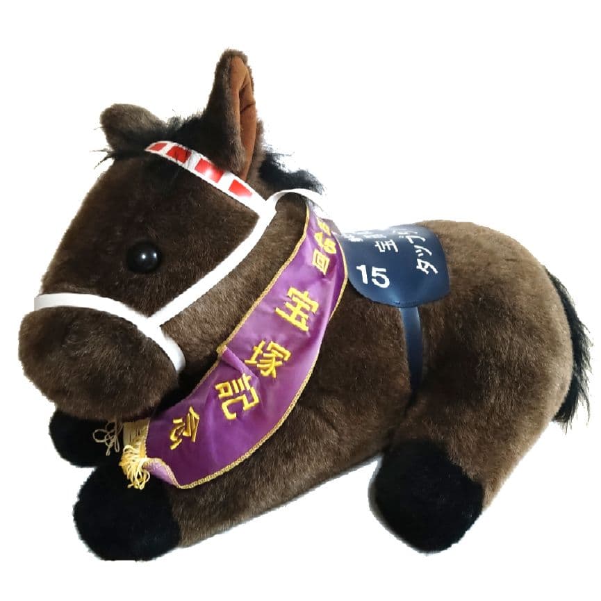 【AVANTI製】タップダンスシチー第45回宝塚記念2Lサイズ(タグ付き)