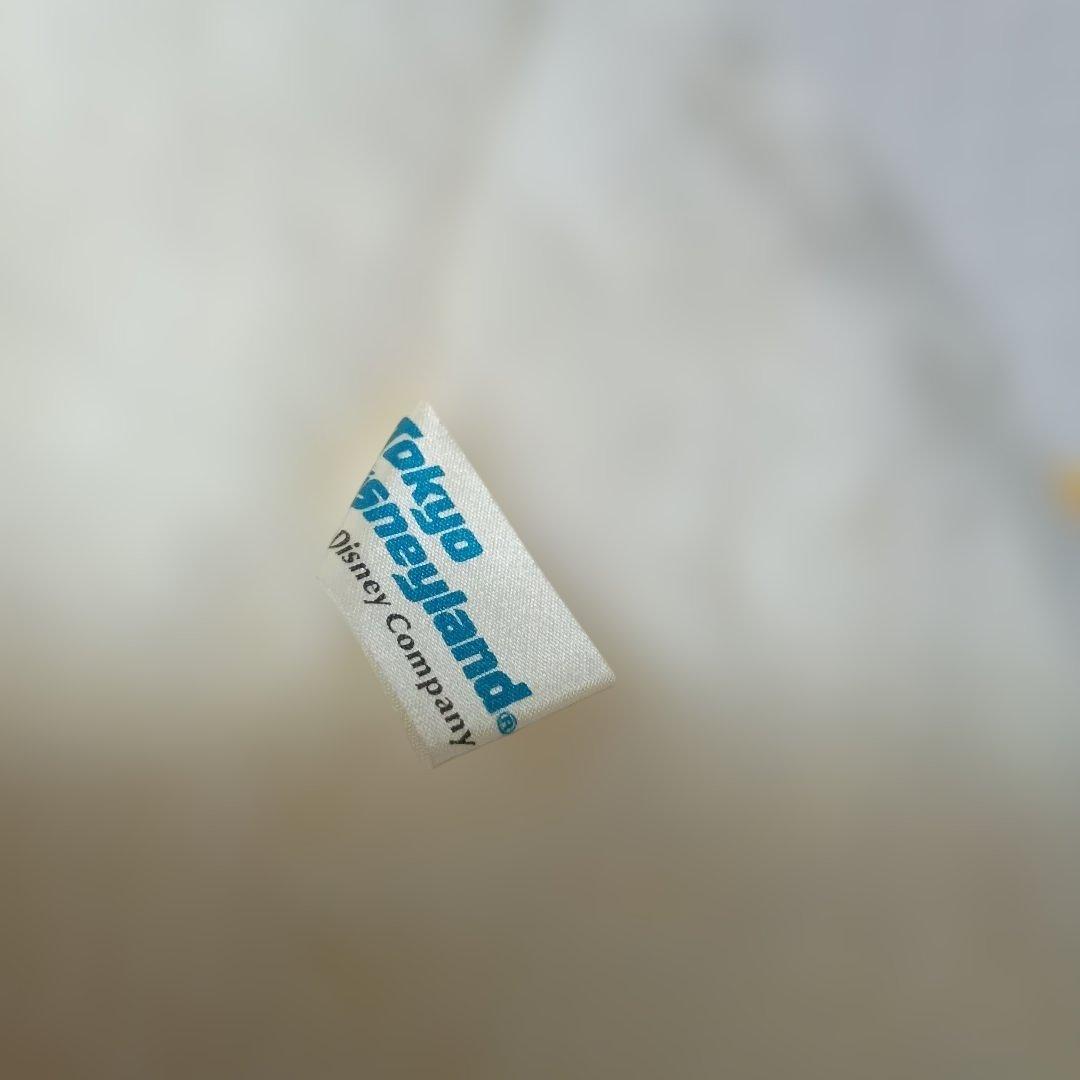 ディズニー　ドナルドダック　デイジービッグぬいぐるみ2体セットディズニーリゾート