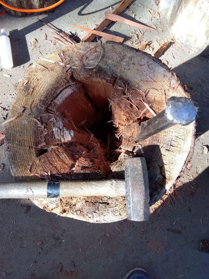 みつばち、昆虫飼育用 中空洞木材 杉材 樹洞 くり抜き 丸洞