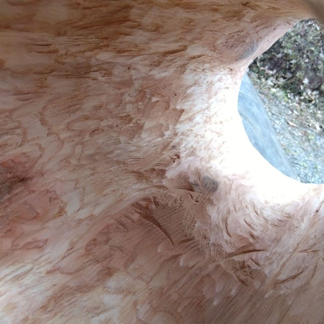 みつばち、昆虫飼育用 中空洞木材 杉材 樹洞 くり抜き 丸洞