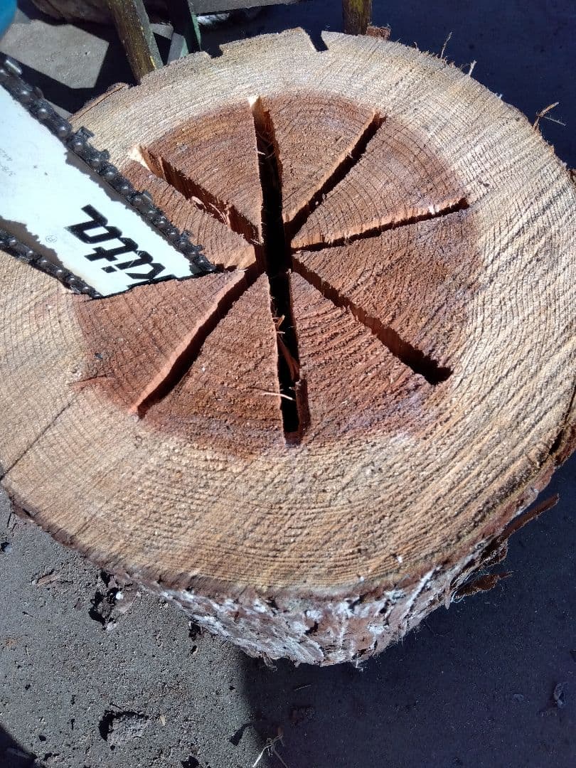 みつばち、昆虫飼育用 中空洞木材 杉材 樹洞 くり抜き 丸洞