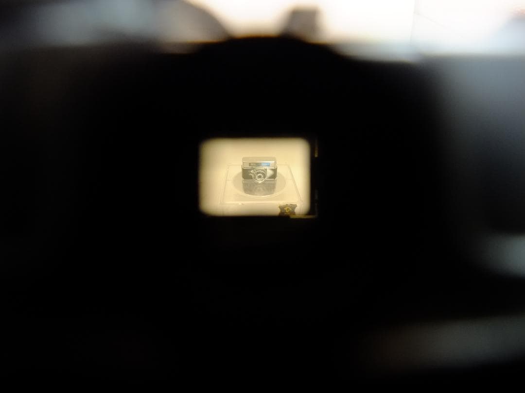 【実写確認整備品】レチナⅡｃ／シュナイダーレチナクセノン50㎜f2.8付