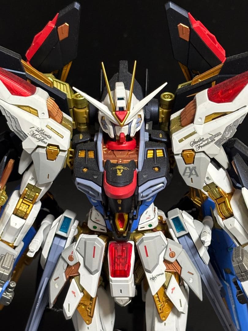MGEX ストライクフリーダム　全塗装完成品　ガンダムseed destiny