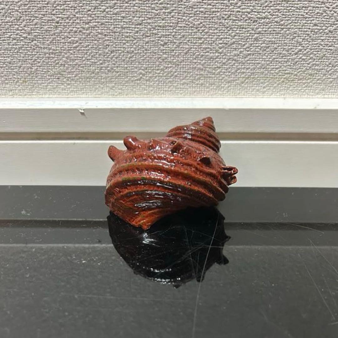 川瀬表完　天然胎さざえ香合　茶道具懐石茶箱鵬雲斎坐忘斎淡々斎即中斎茶碗水指茶杓棗