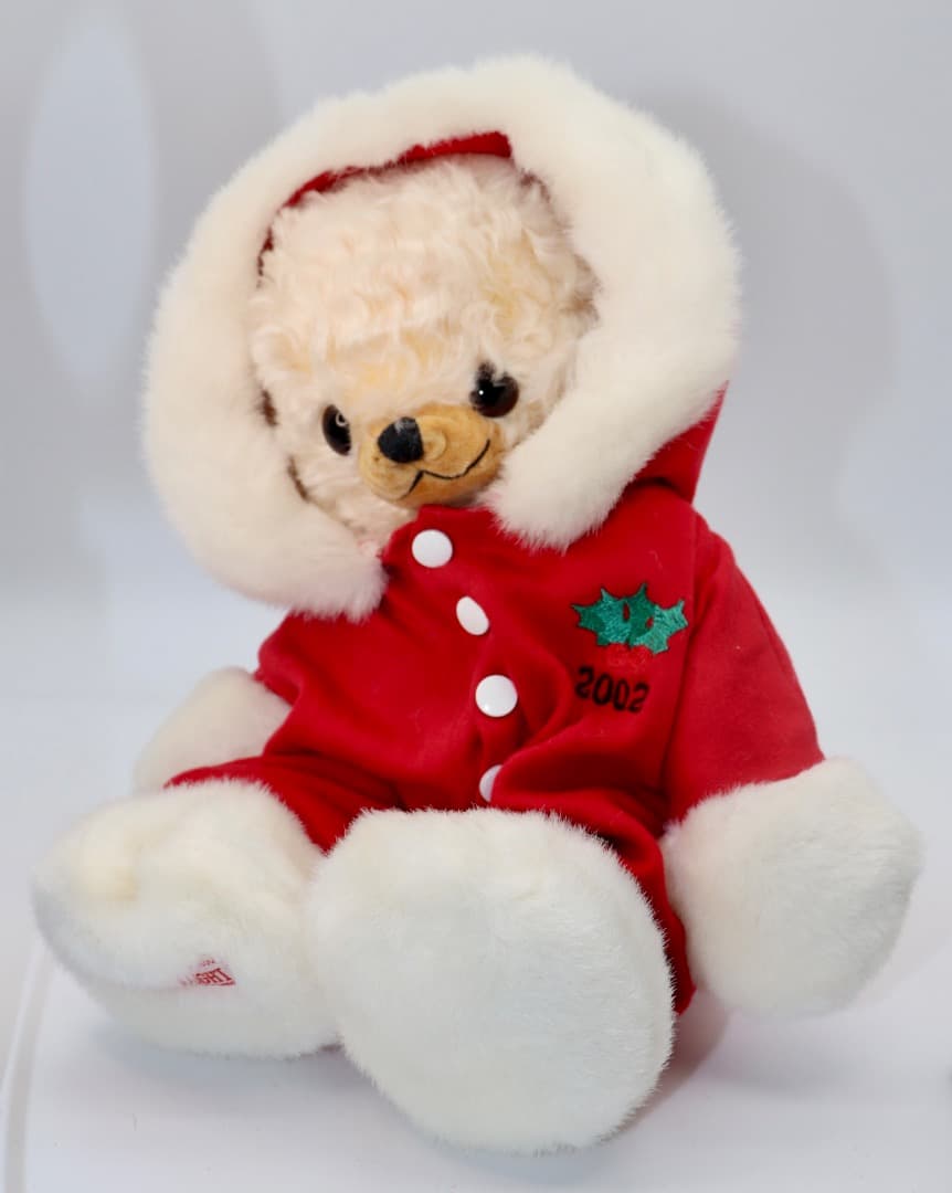 CHEEKY SANTA SUIT 2002 日本限定品サンタ・スーツ2002