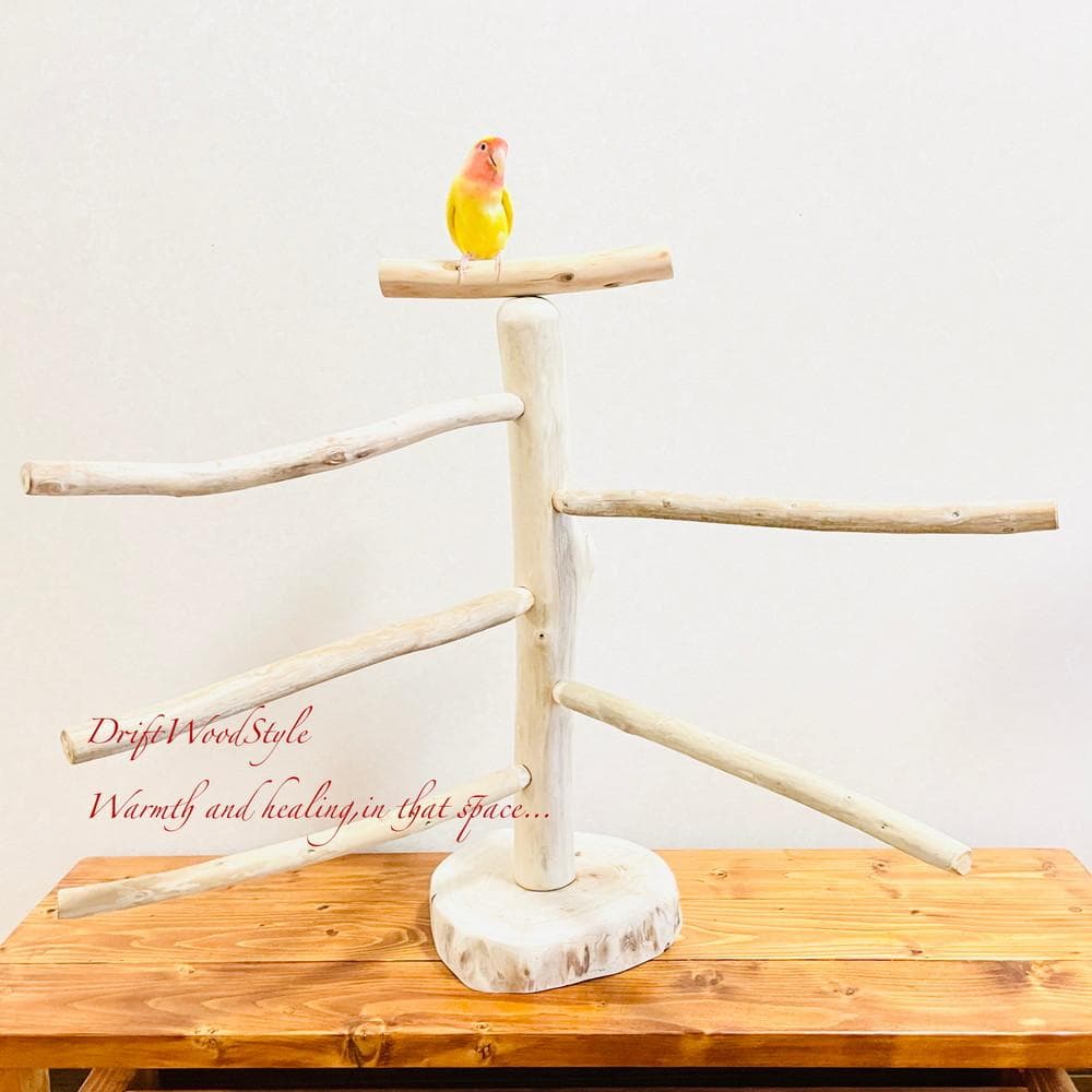 取り外しできる天然流木の止まり木 Lサイズ スタンド 木製 インコ N1
