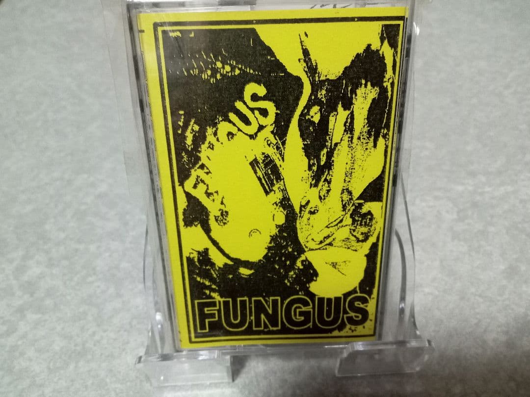 FUNGUS 完売間近！！