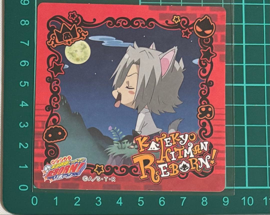 リボーン 獄寺 怪物づかい カード