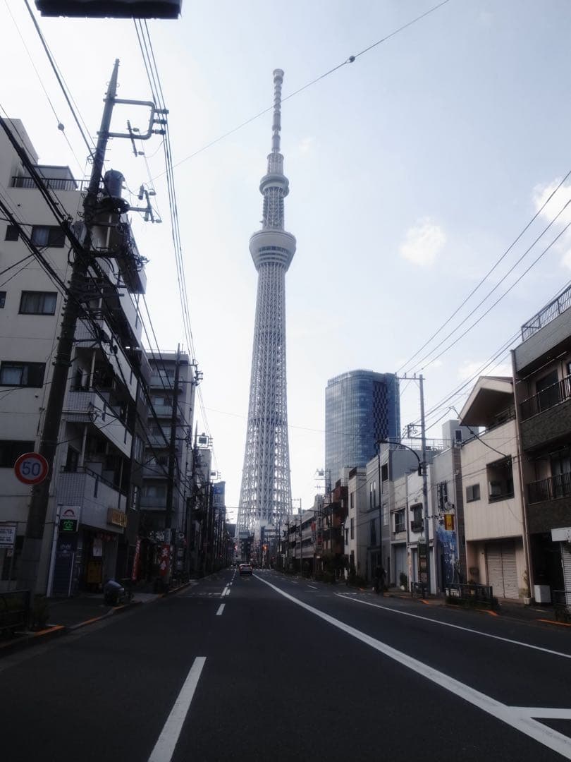 RICOH GR DIGITAL IV ｜シャッター回数1808