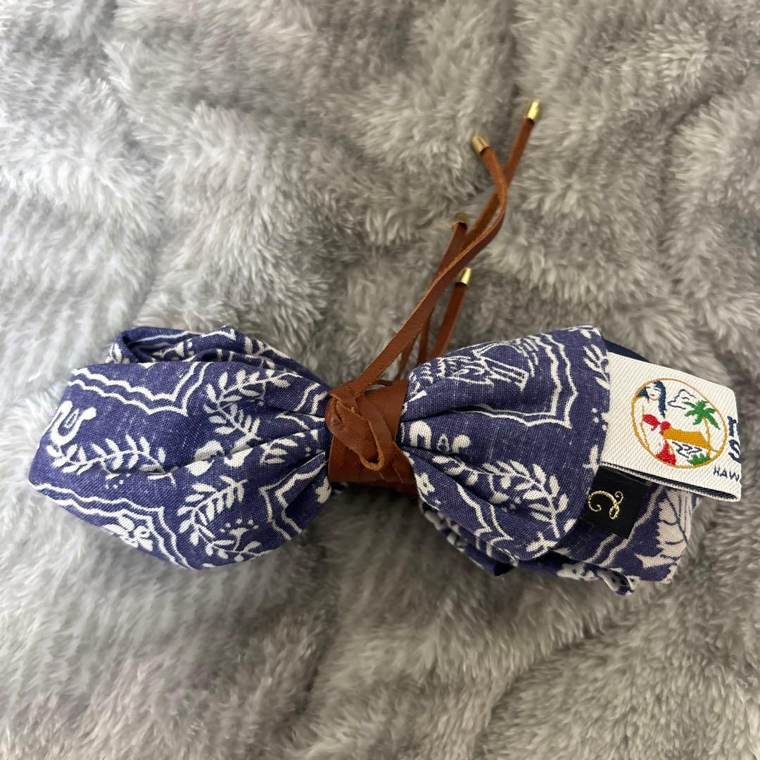 コンプレックスビ　クリップ