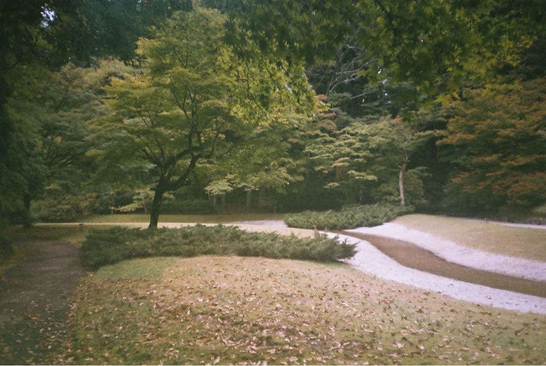 Canon Autoboy D5 動作確認済み コンパクトフィルムカメラ